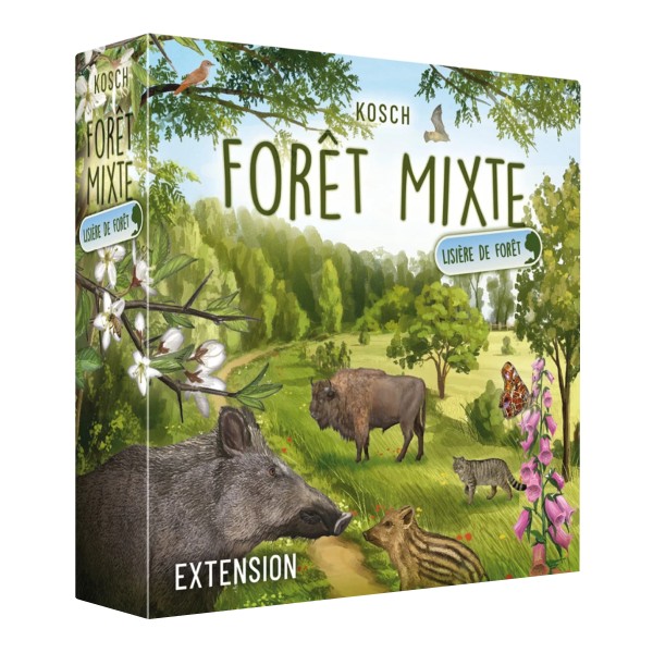 Forêt Mixte : Lisière de Forêt
