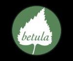betula-jeux-nature