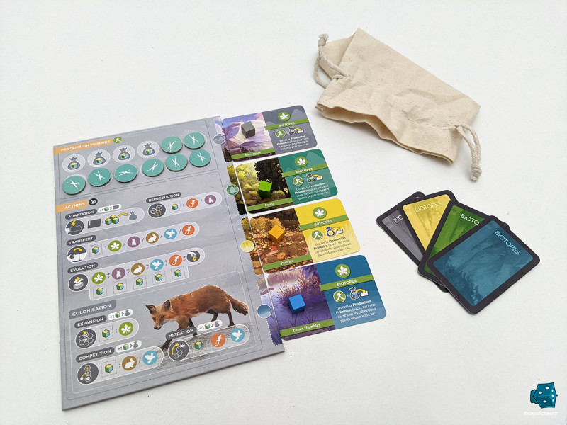 Une zone de jeu personnelle, juste avant le début de partie