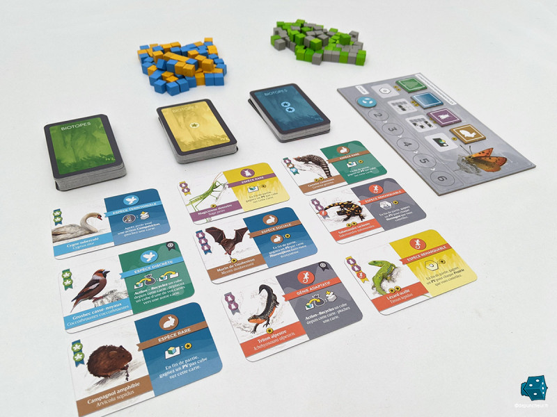 Le marché des trois types de cartes Espèces, ainsi que les conditions de scoring environnementales