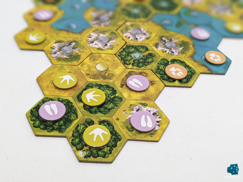 Quelques tours de table et déjà de l'animation sur la zone centrale !