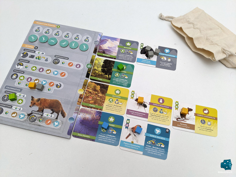 Développer un écosystème tout en gérant bien ses cubes ressources, le nerf de la 