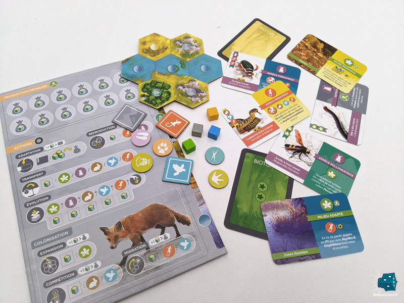 Visuellement, le jeu est très beau. Dommage que tout soit si petit et usant d'un carton si léger !