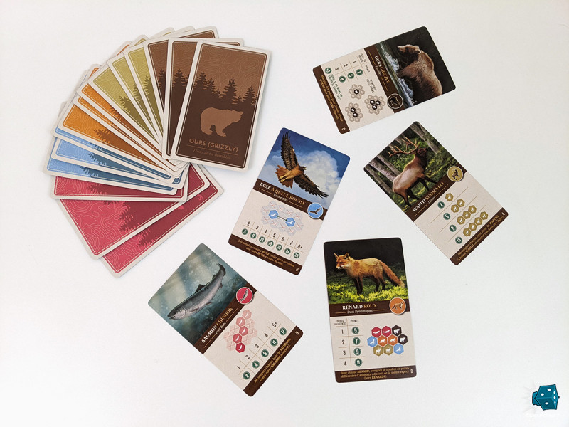 Le jeu vient avec 4 objectifs différents par espèce, ce qui assure une belle variabilité de départ