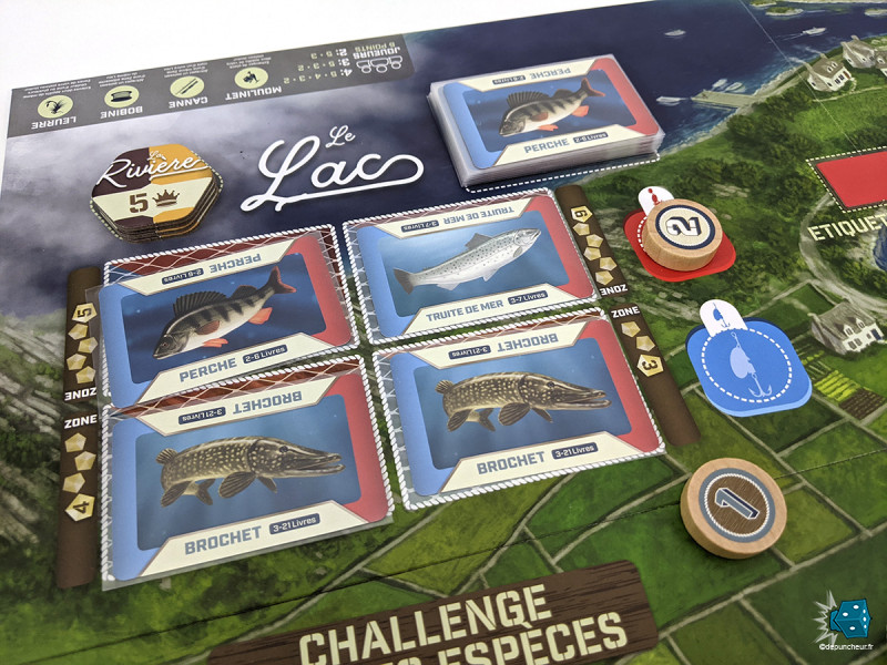 Se placer sur les espaces libres pour vider ses appâts (et prendre les bons poissons), le cœur du gameplay