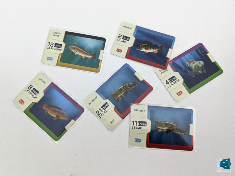 Le poids et les étiquettes des poissons, la (grosse) touche de hasard qui peut gêner des joueurs