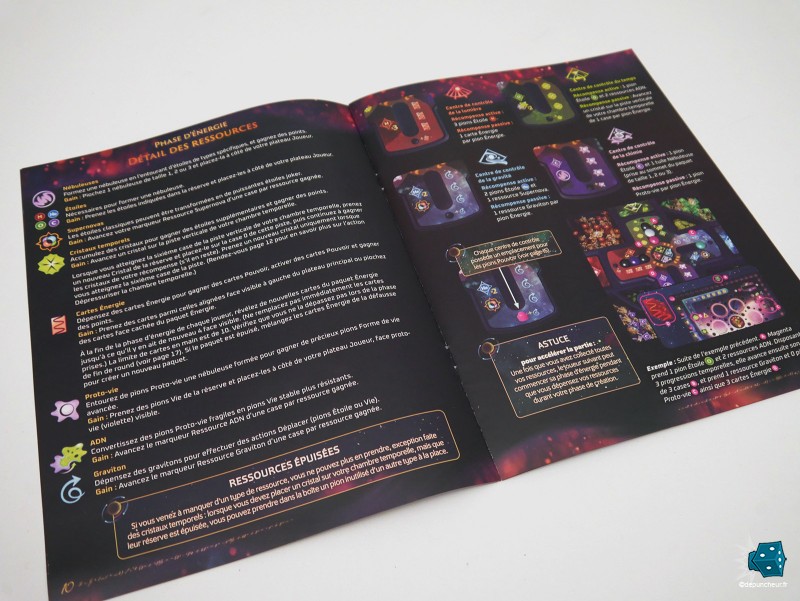 Le livret de règles, un vrai petit bijou de mise en page et de didactisme