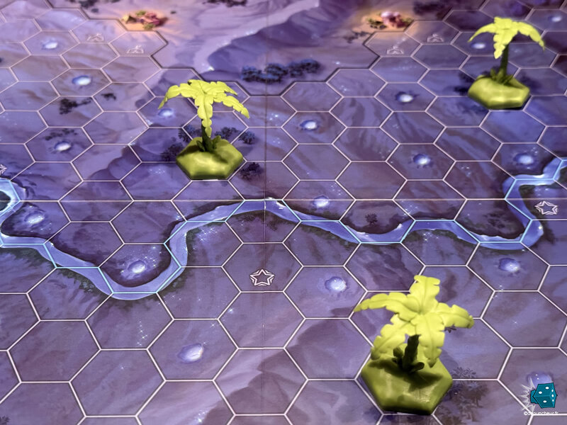 C'est beau un désert la nuit