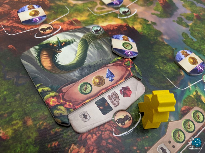 Première exploration et première rencontre fortuite