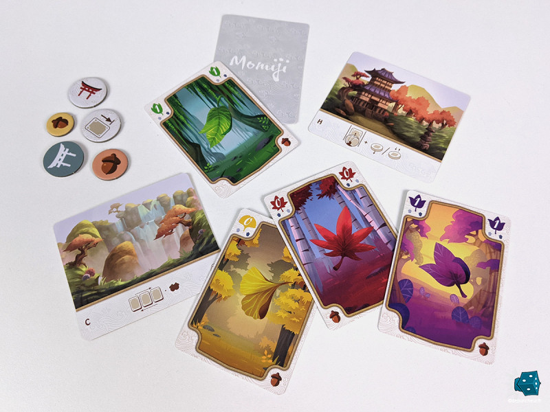 C'est quand même beau non ?