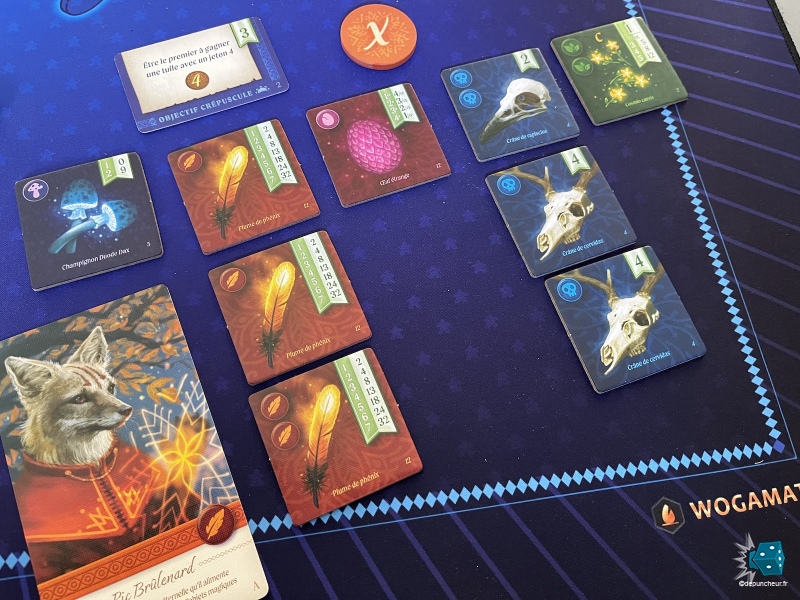 Renard orange commence à avoir une belle collection de plumes de phenix