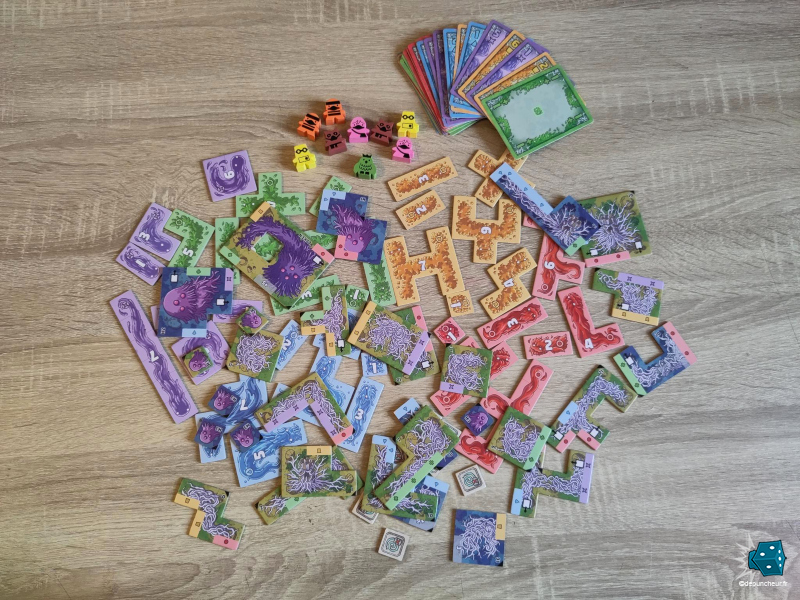 Plein de polyominos !